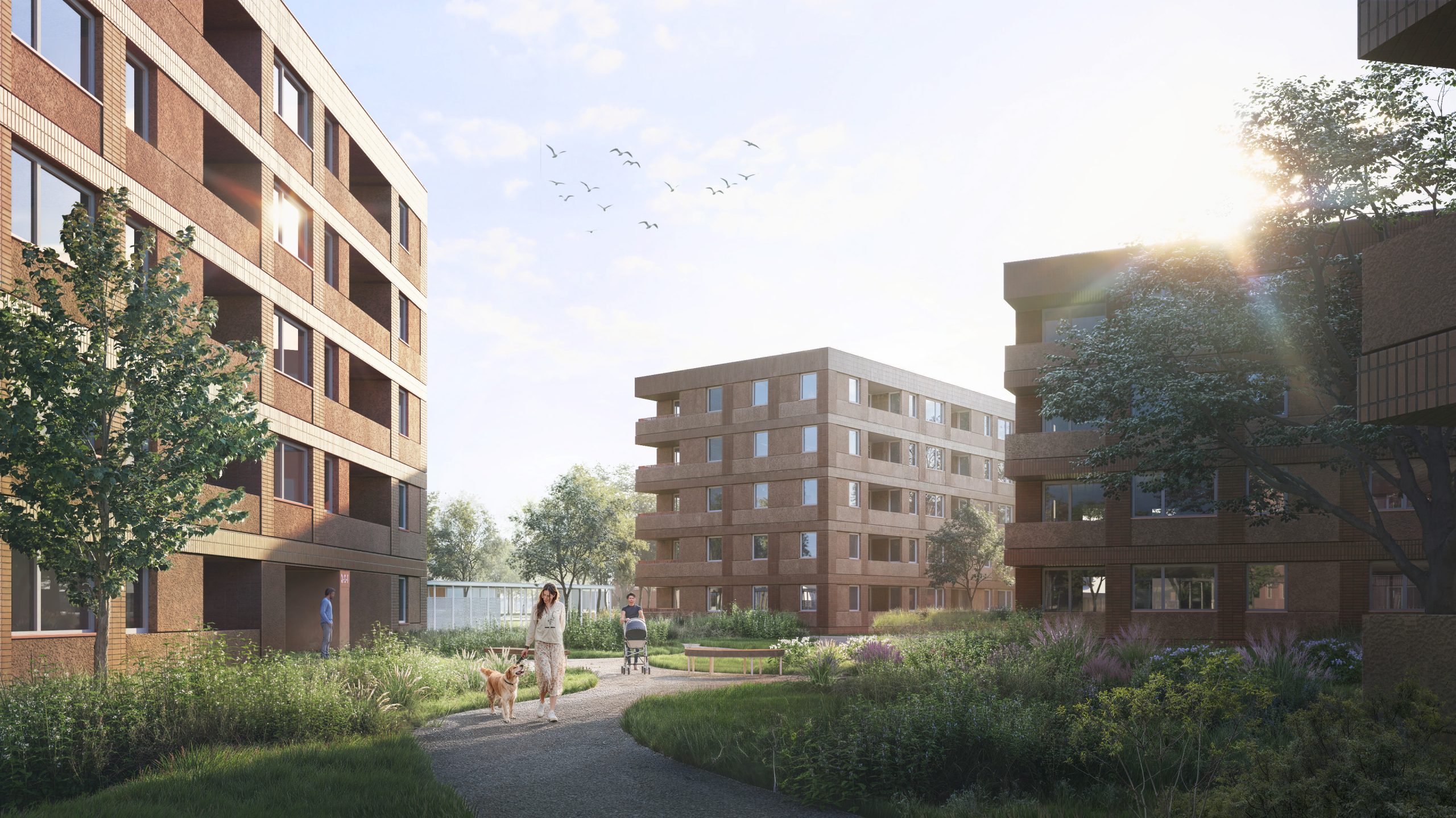 R_1-etap II dziedziniec